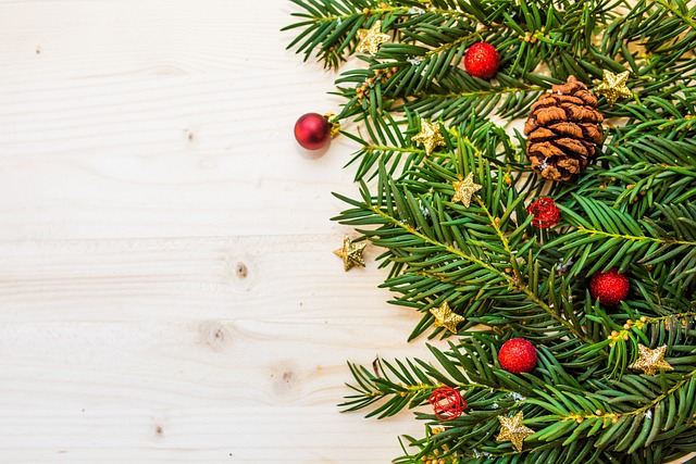 Comment decorer votre sapin de Noel ?